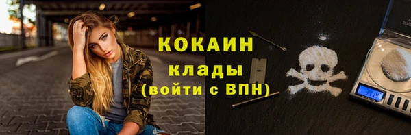 шишки Грязовец