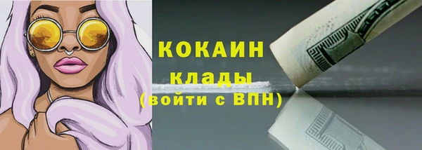 гашик Арсеньев