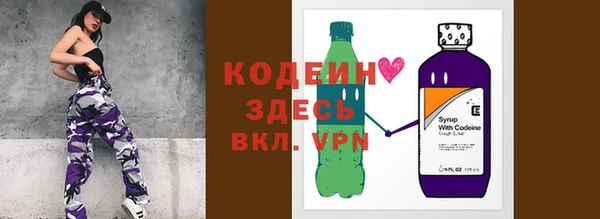 молекула духа Сосновка