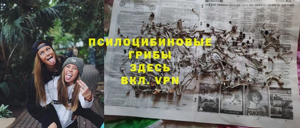 apvp Аркадак