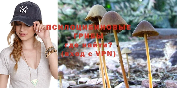 гидропоника Армянск