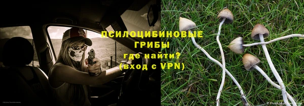 apvp Аркадак