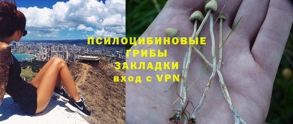 apvp Аркадак