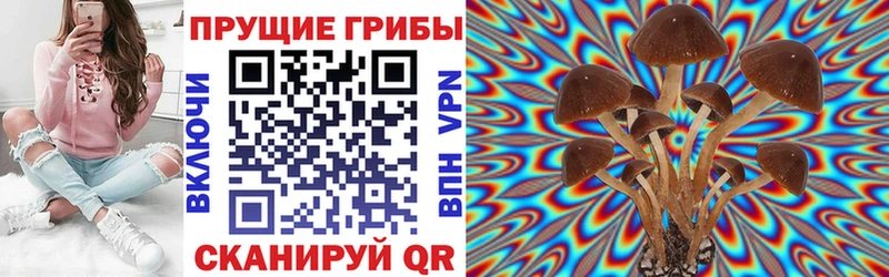 купить наркоту  Ирбит  Галлюциногенные грибы Magic Shrooms 